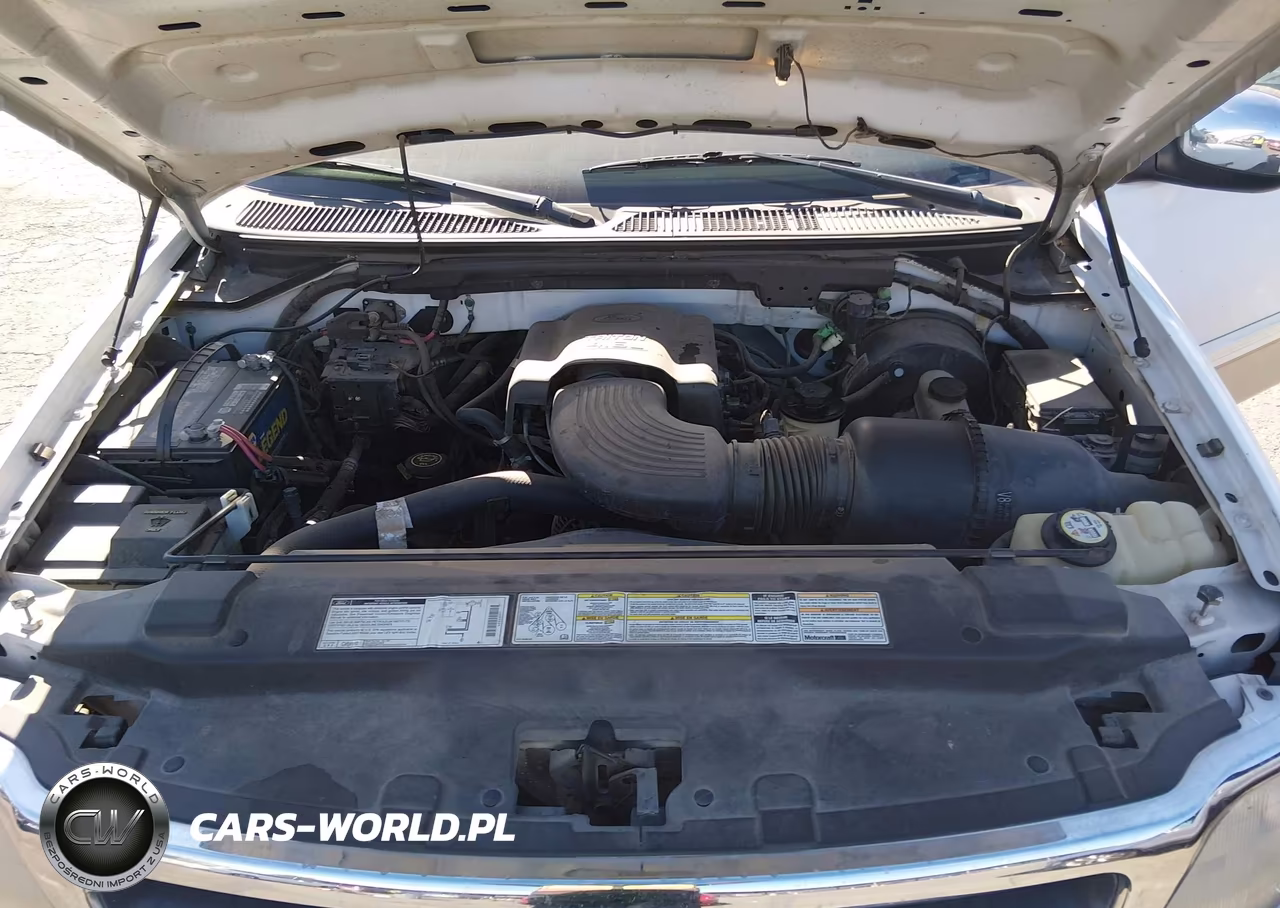 2000 Ford F-150 Lariat-Work Series-Xl-Xlt VIN:1FTRX17W9YNC07617 - 10