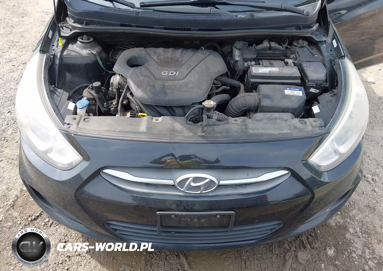 2016 Hyundai Accent Se VIN:KMHCT4AE2GU092586 - 10
