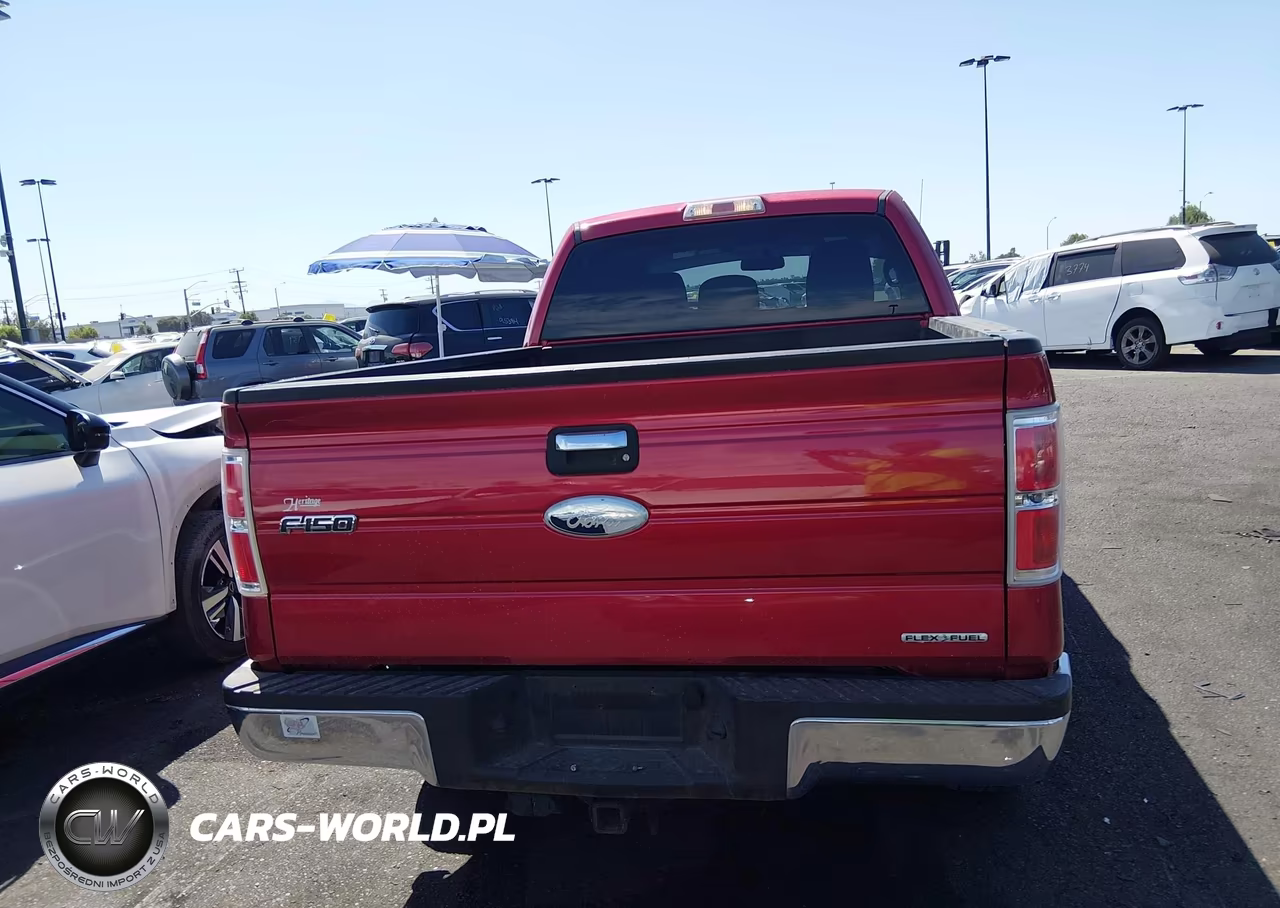 2012 Ford F-150 Xlt VIN:1FTFX1EF9CFA64340 - 17