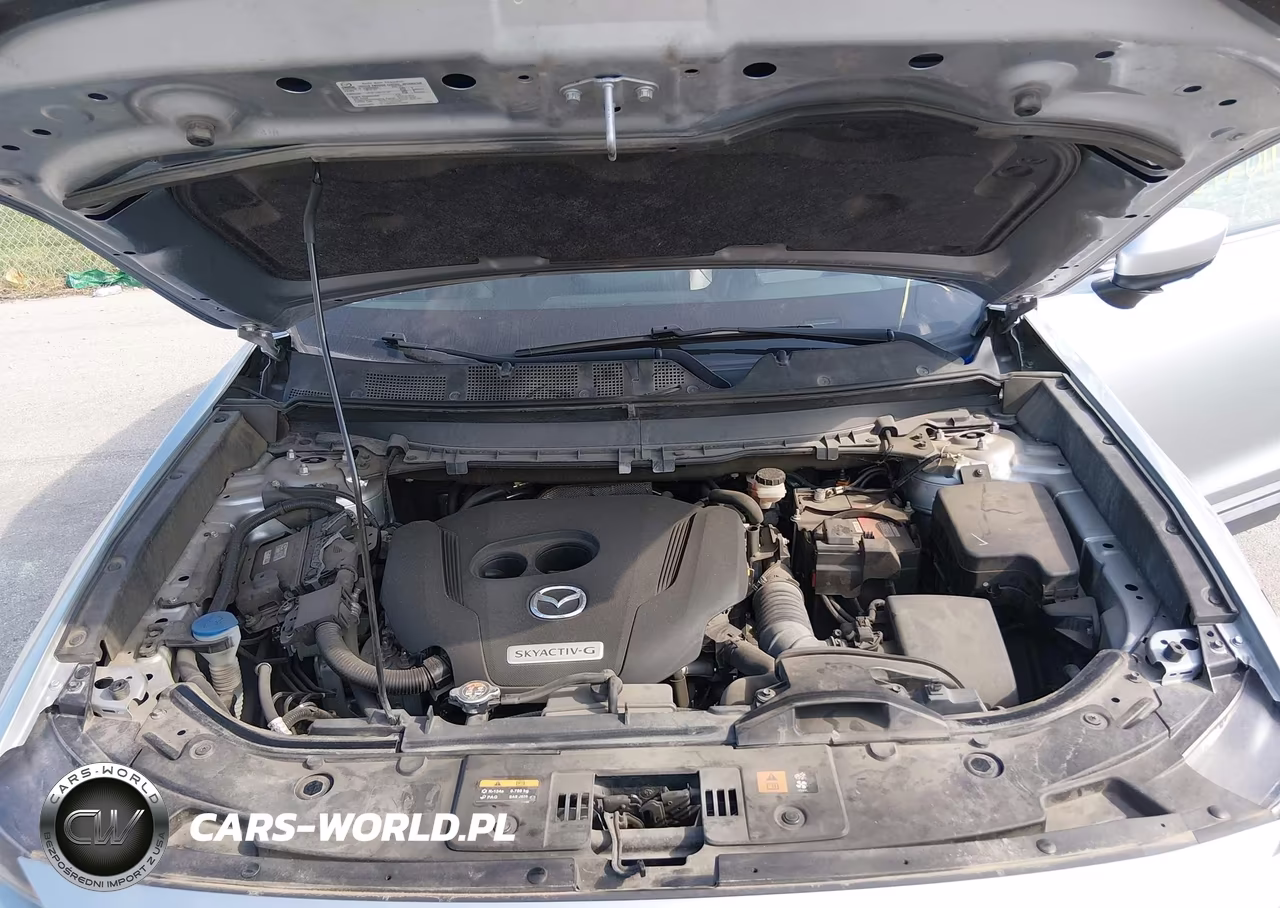 2021 Mazda Cx-9 Grand Touring VIN:JM3TCBDY7M0517941 - 10