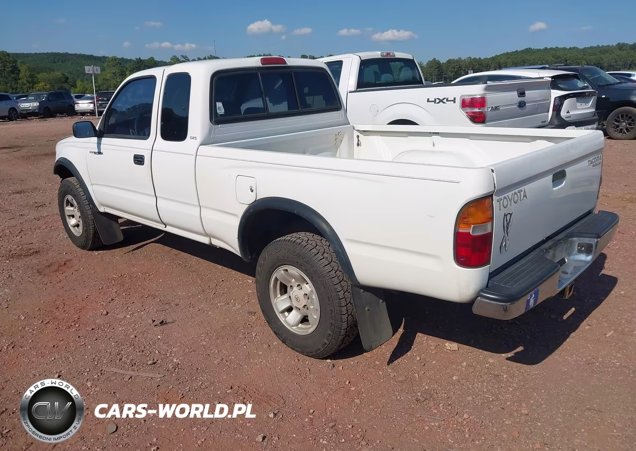 1999 Toyota Tacoma Prerunner VIN:4TASM92NXXZ449911 - 3