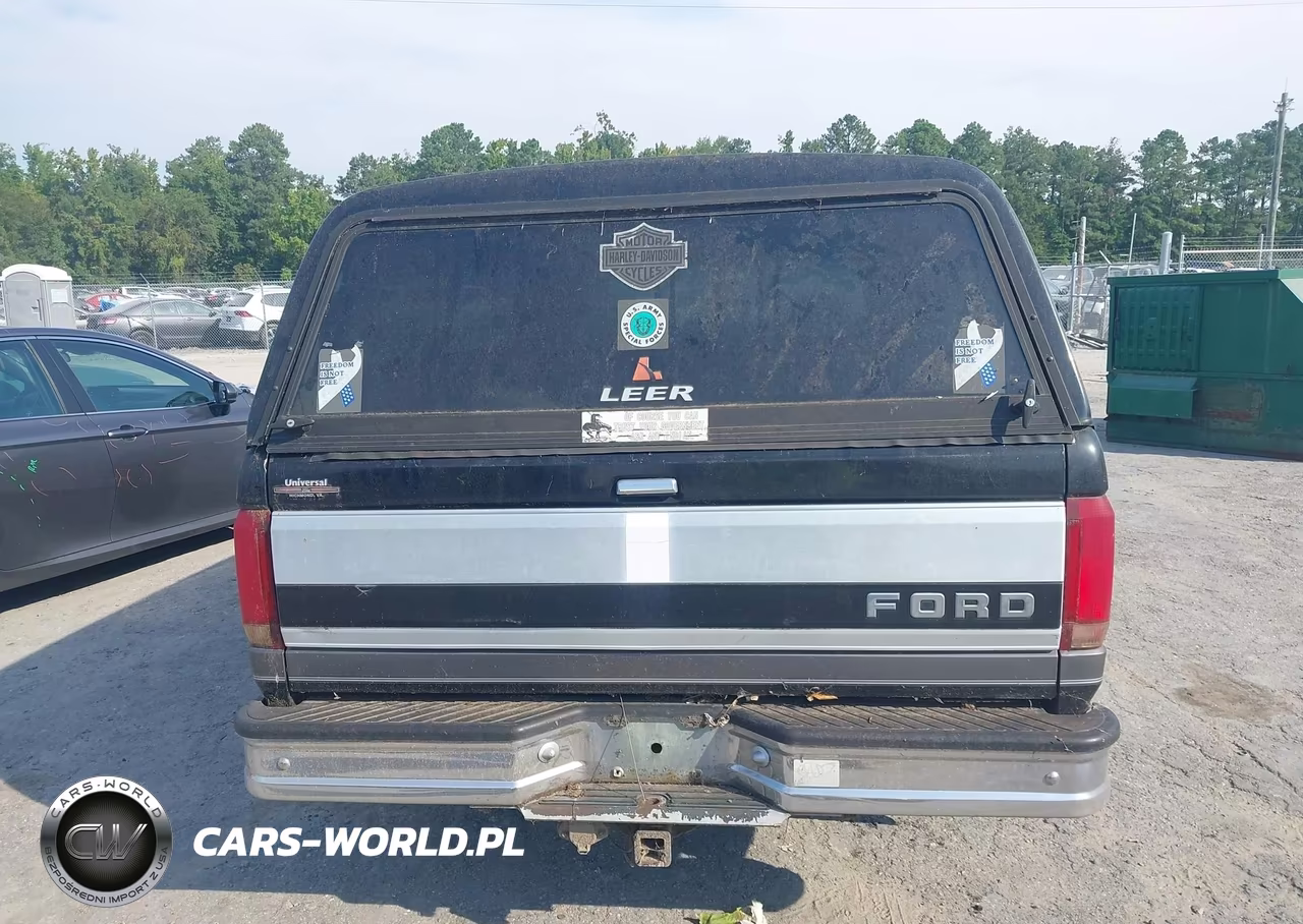 1993 Ford F150 VIN:1FTEX15N1PKB23817 - 16