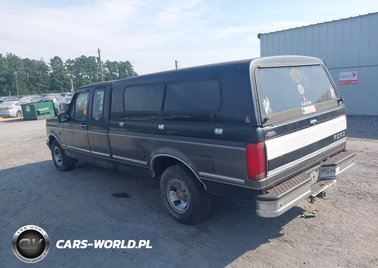 1993 Ford F150 VIN:1FTEX15N1PKB23817 - 3