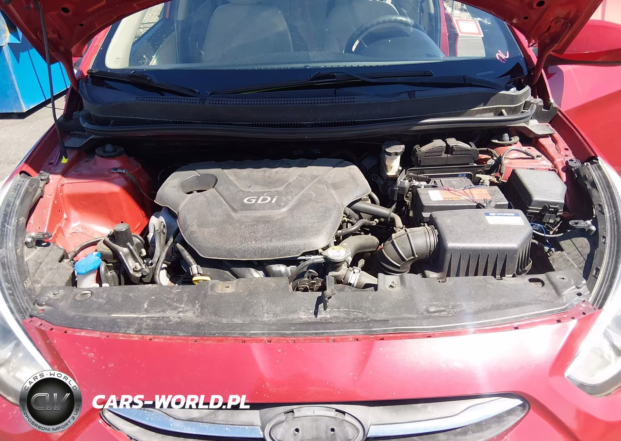 2016 Hyundai Accent Se VIN:KMHCT4AE4GU120601 - 10