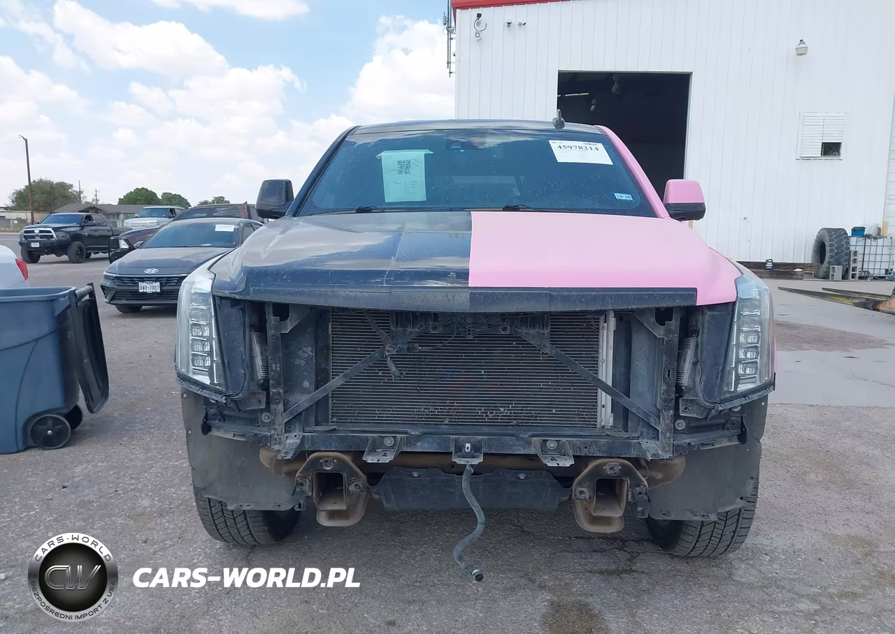 2016 Cadillac Escalade Platinum VIN:1GYS4DKJ8GR370820 - 12