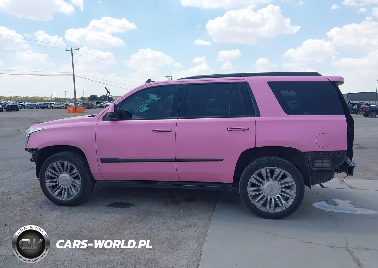 2016 Cadillac Escalade Platinum VIN:1GYS4DKJ8GR370820 - 14