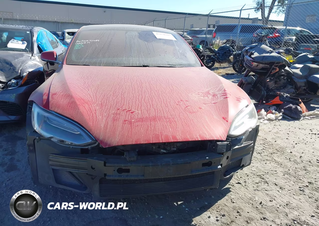 2018 Tesla Model S 100D-75D-P100D VIN:5YJSA1E23JF296947 - 12