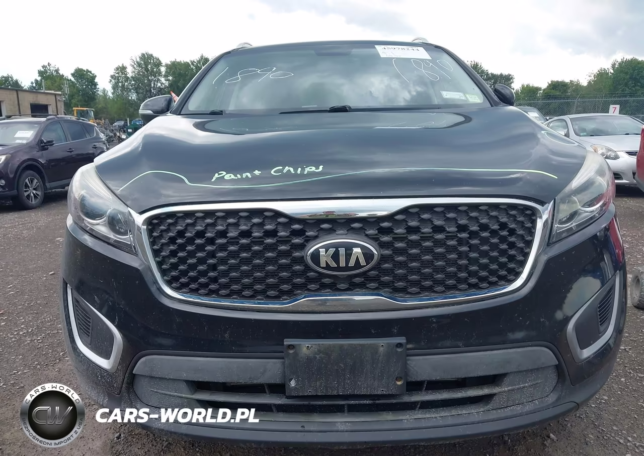 2017 Kia Sorento 2.4L Lx VIN:5XYPGDA31HG272203 - 12