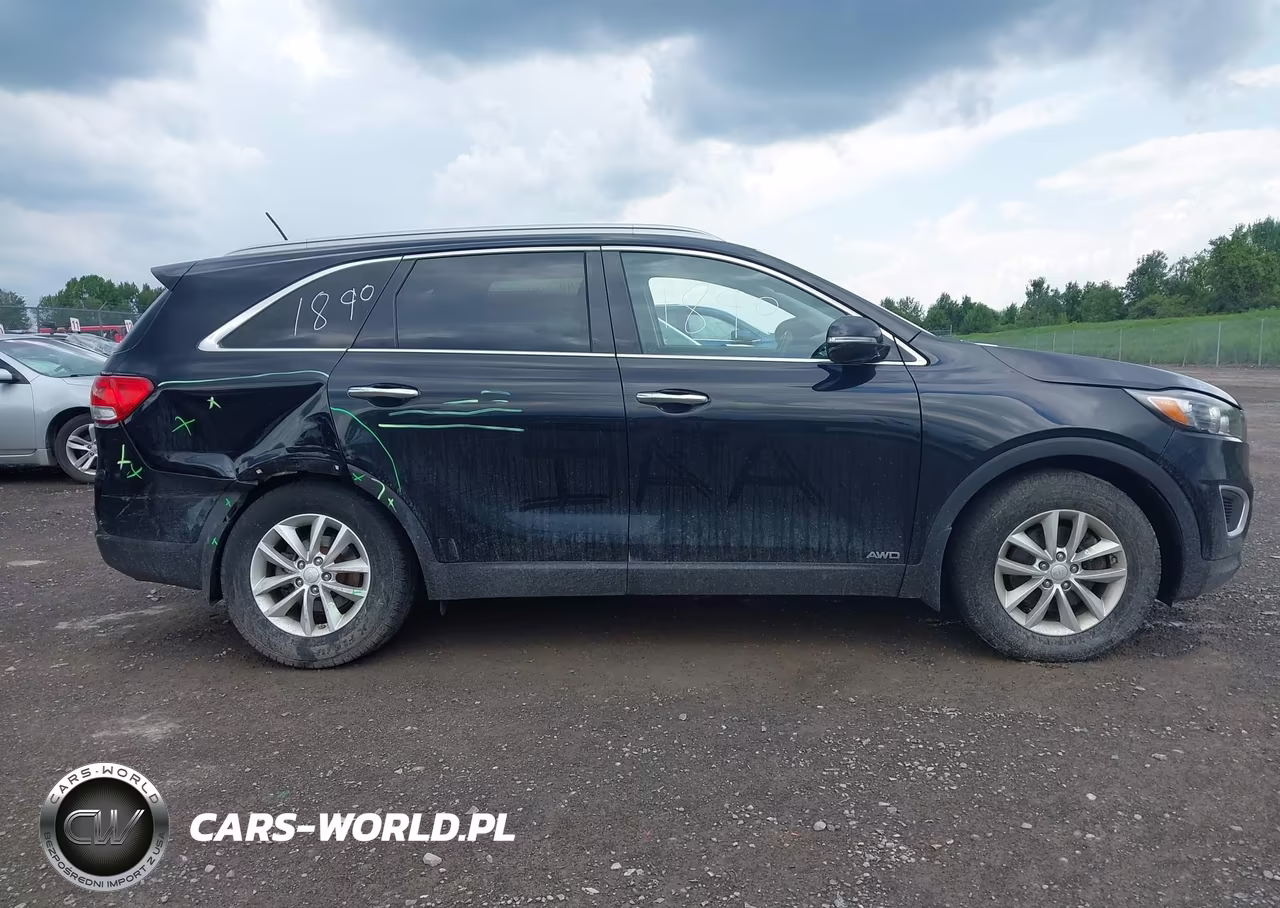2017 Kia Sorento 2.4L Lx VIN:5XYPGDA31HG272203 - 13