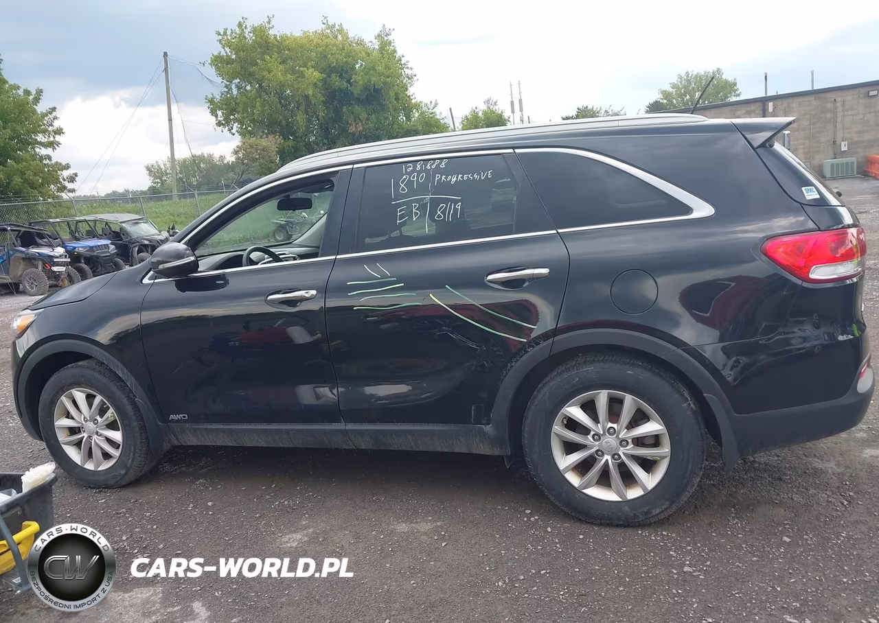 2017 Kia Sorento 2.4L Lx VIN:5XYPGDA31HG272203 - 14