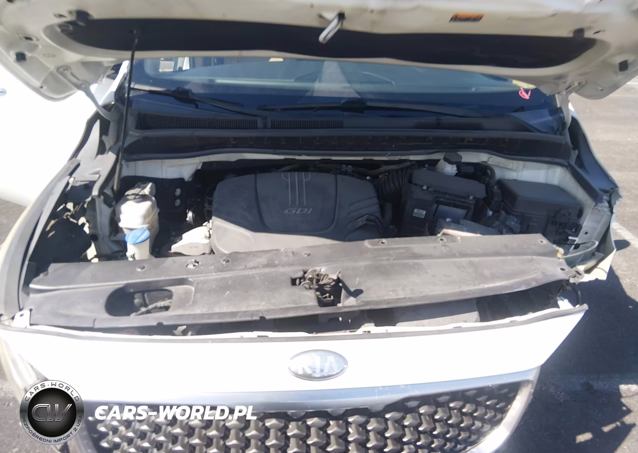 2015 Kia Sedona Sx Luxury VIN:KNDME5C19F6045691 - 10