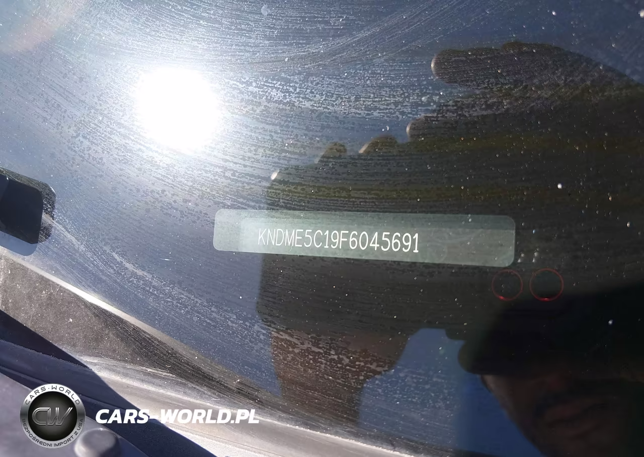 2015 Kia Sedona Sx Luxury VIN:KNDME5C19F6045691 - 9