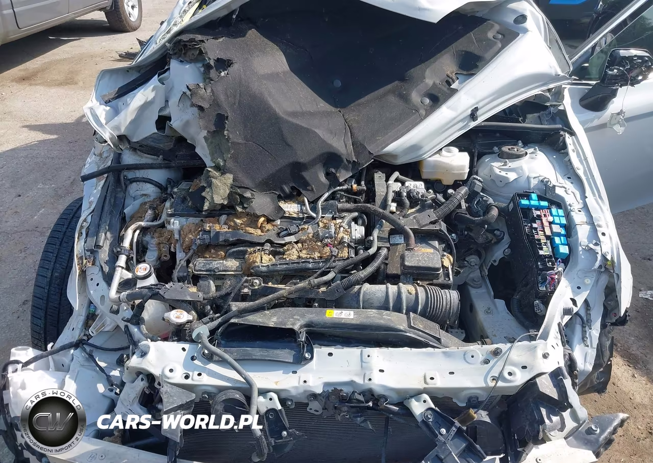 2024 Toyota Camry Hybrid Se VIN:4T1S31AK6RU072666 - 10