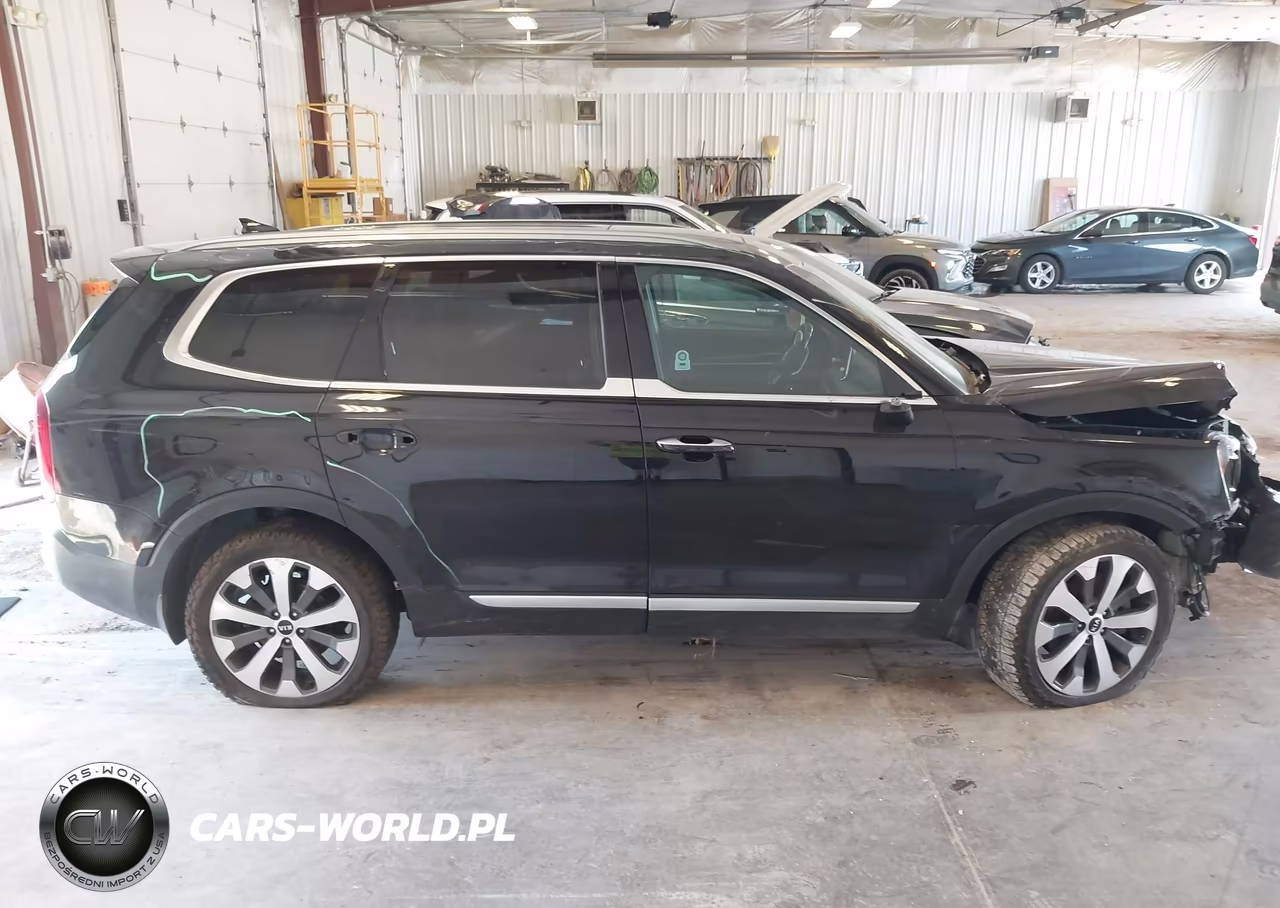 2021 Kia Telluride S VIN:5XYP6DHC3MG150719 - 13