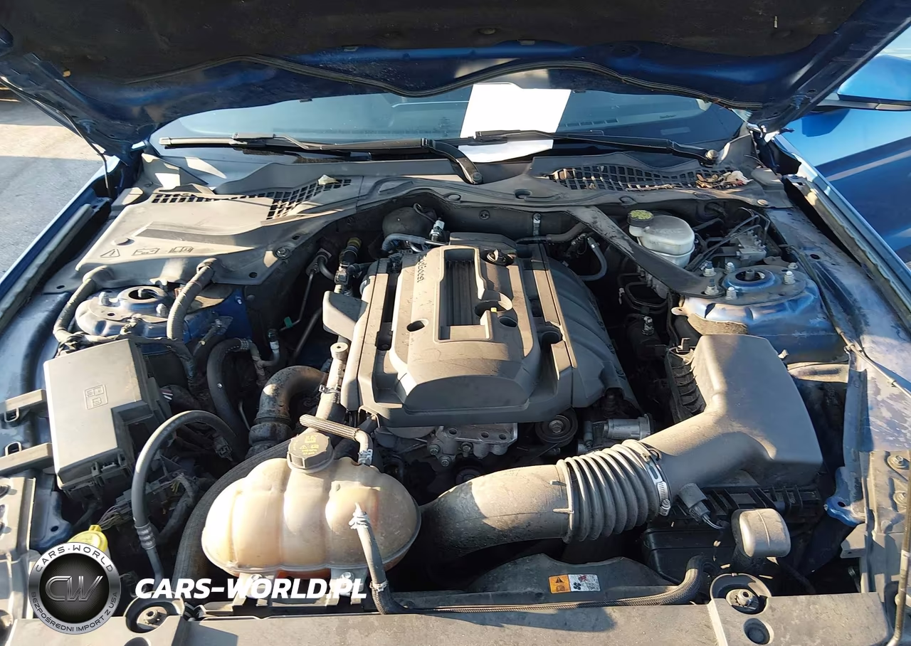 2017 Ford Mustang Ecoboost Premium VIN:1FATP8UH9H5326942 - 10
