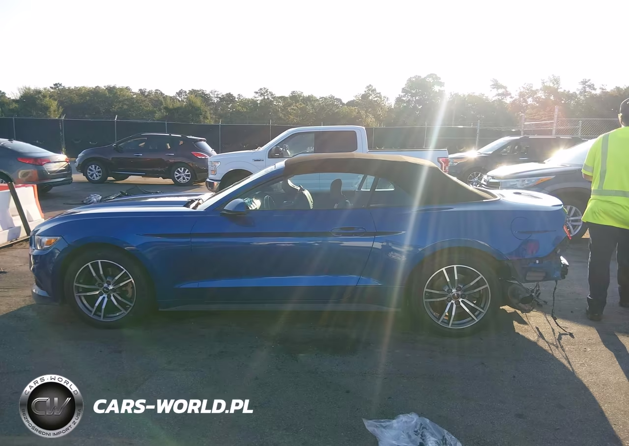 2017 Ford Mustang Ecoboost Premium VIN:1FATP8UH9H5326942 - 15