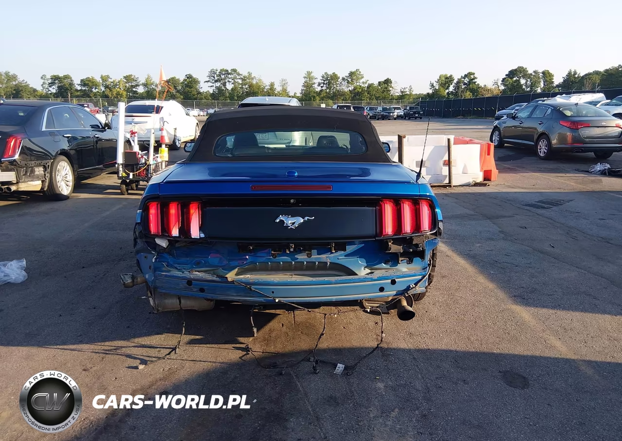 2017 Ford Mustang Ecoboost Premium VIN:1FATP8UH9H5326942 - 17