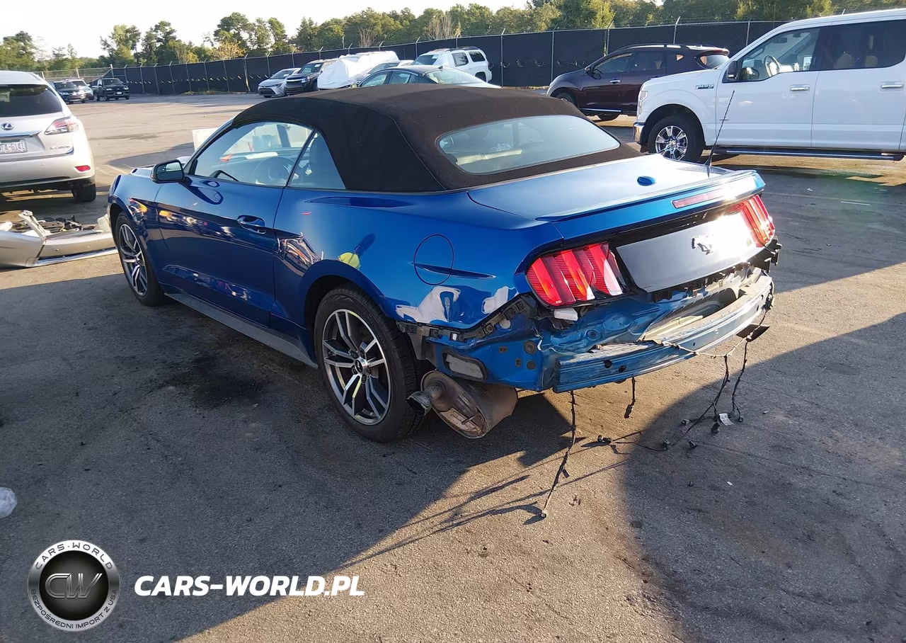 2017 Ford Mustang Ecoboost Premium VIN:1FATP8UH9H5326942 - 3