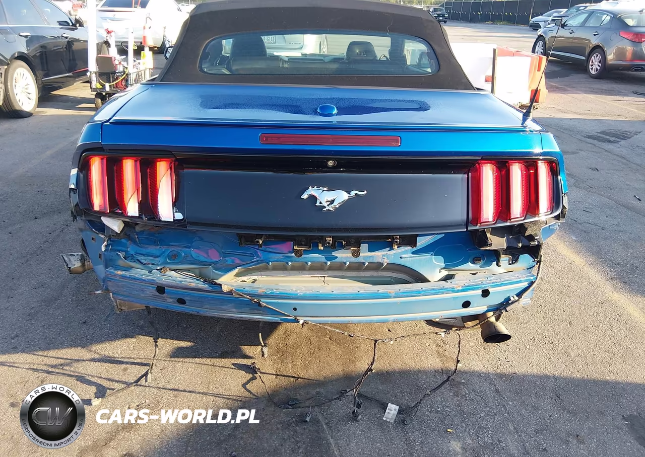 2017 Ford Mustang Ecoboost Premium VIN:1FATP8UH9H5326942 - 6