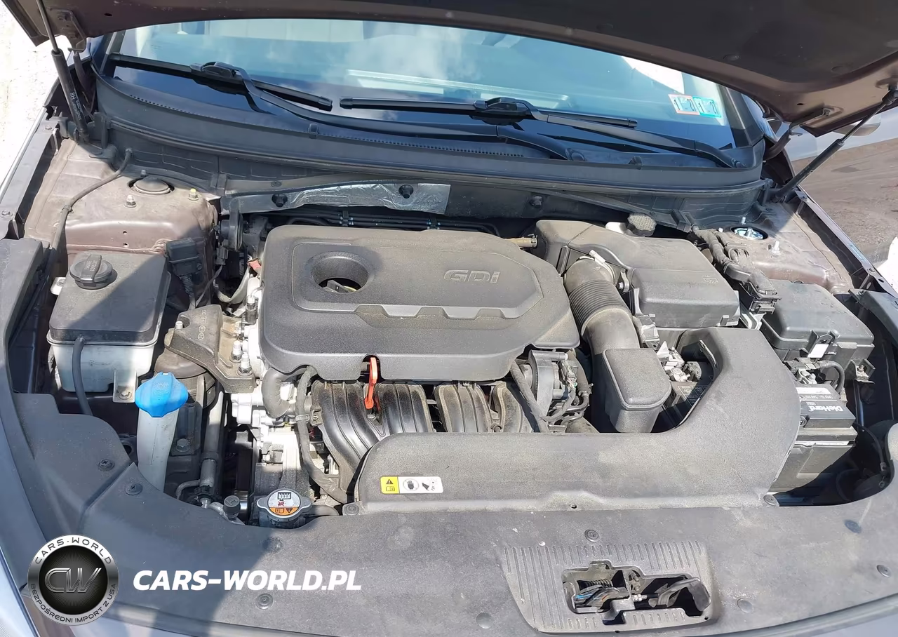 2015 Hyundai Sonata Se VIN:5NPE24AF9FH184554 - 10