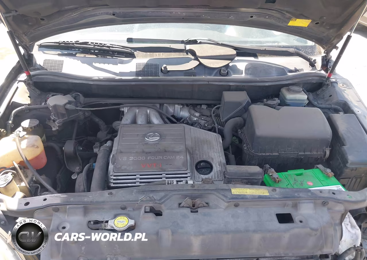 2002 Lexus Rx 300 VIN:JTJGF10U420142969 - 10