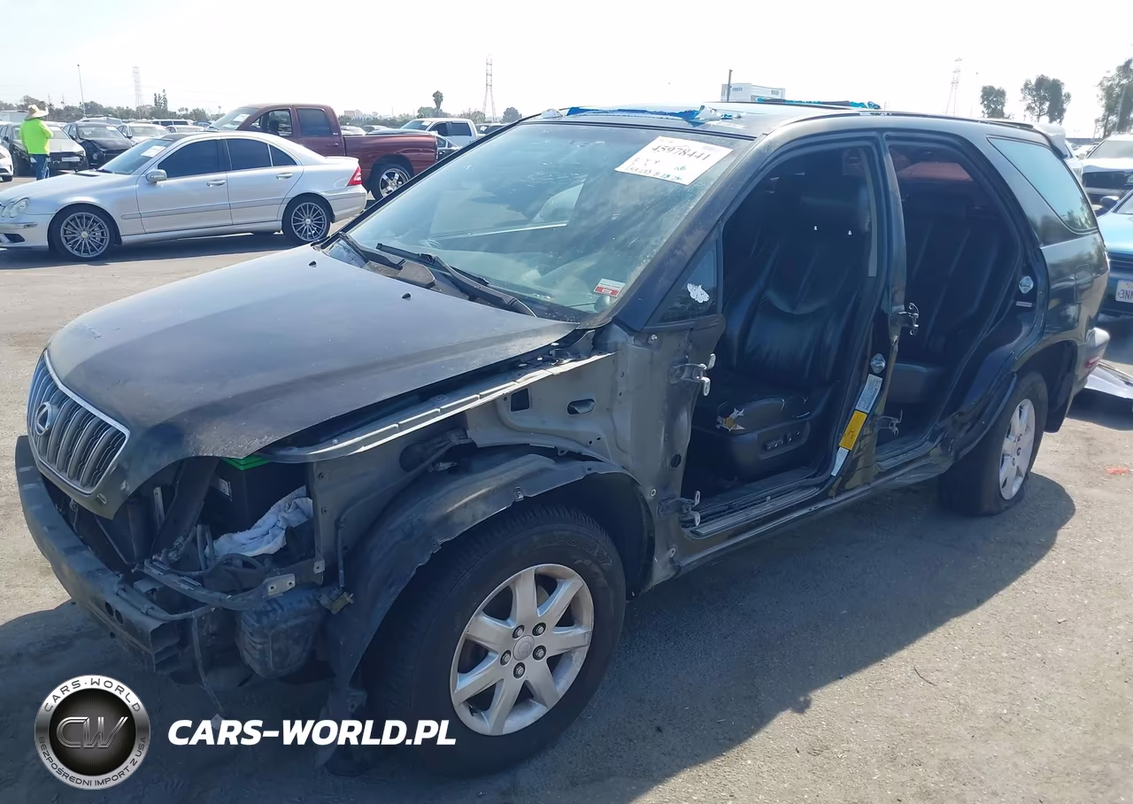 2002 Lexus Rx 300 VIN:JTJGF10U420142969 - 2