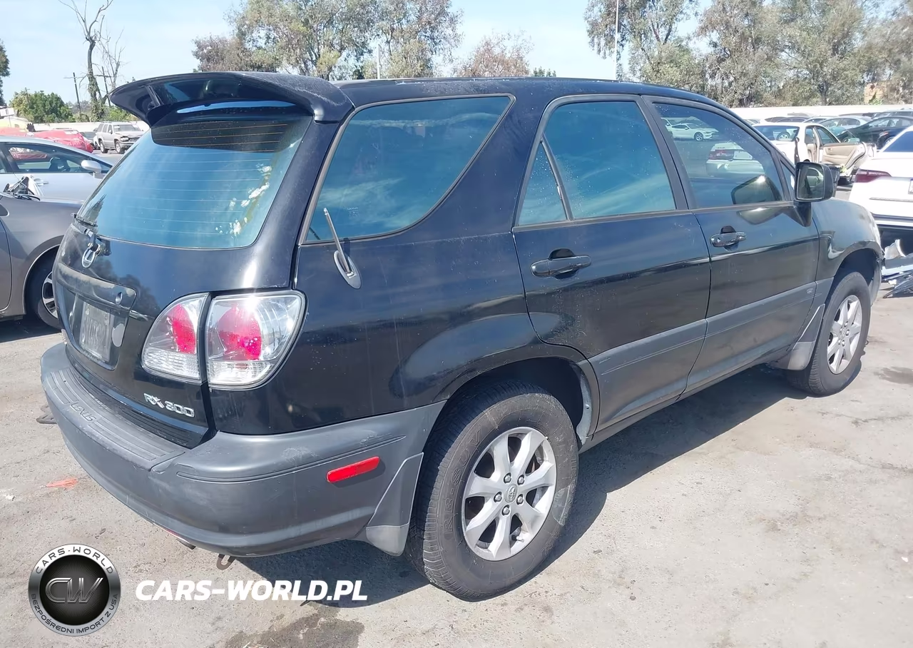 2002 Lexus Rx 300 VIN:JTJGF10U420142969 - 4