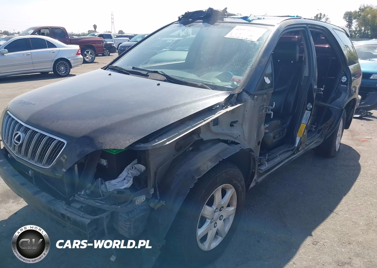 2002 Lexus Rx 300 VIN:JTJGF10U420142969 - 6