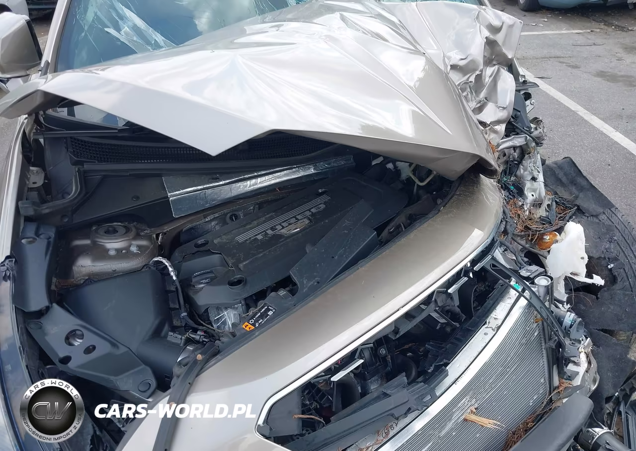 2023 Cadillac Xt4 Fwd Premium Luxury VIN:1GYFZCR43PF126880 - 10