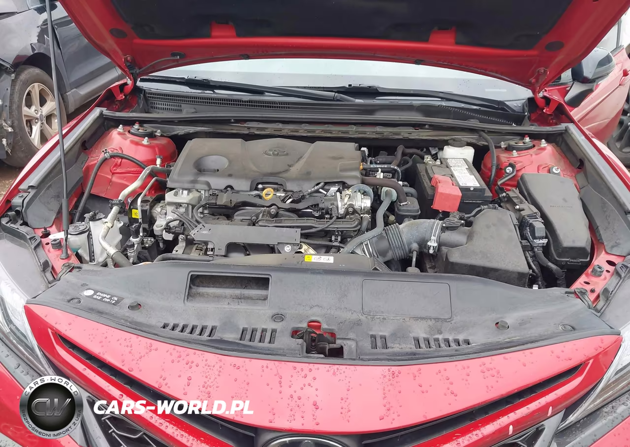 2022 Toyota Camry Xse VIN:4T1K61AK5NU007065 - 10