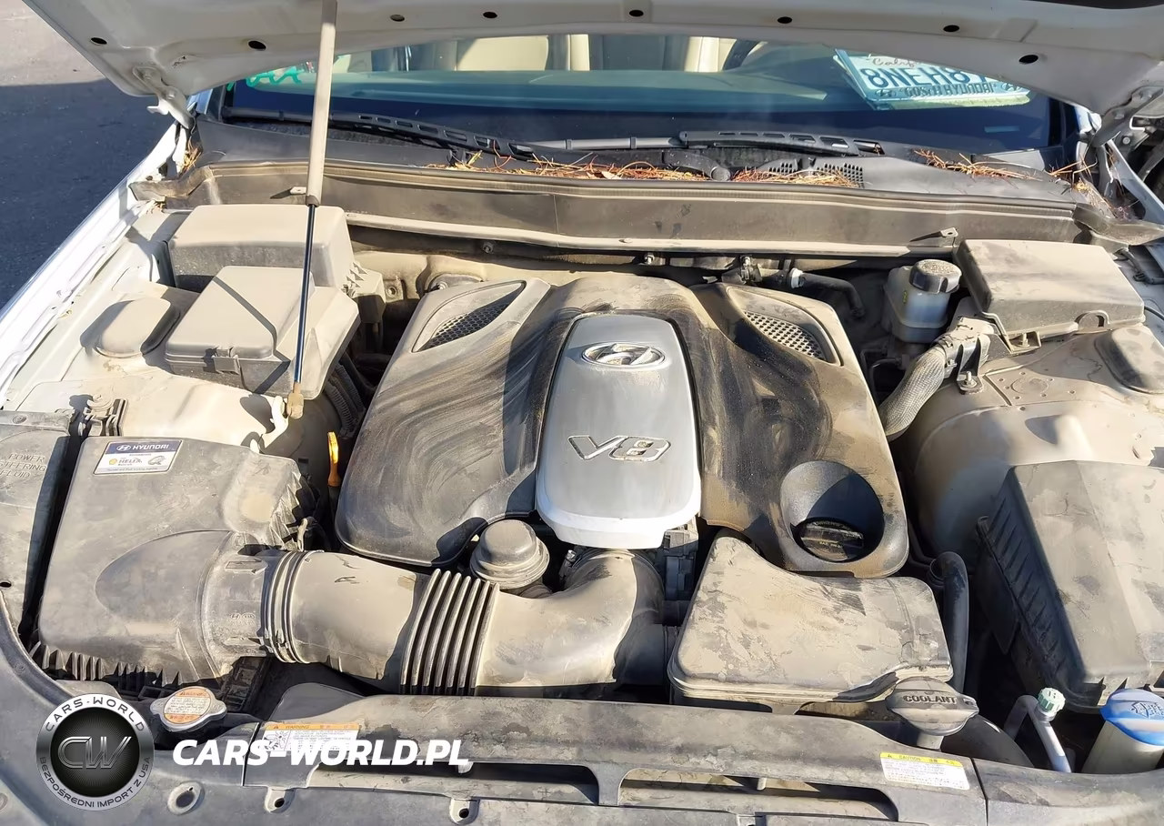 2011 Hyundai Genesis 4.6 VIN:KMHGC4DF1BU124894 - 10