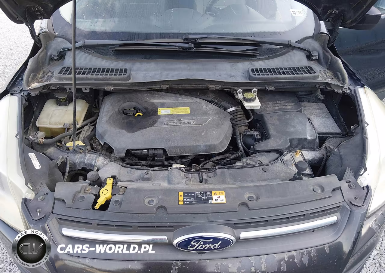 2013 Ford Escape Se VIN:1FMCU0GX1DUC44061 - 10