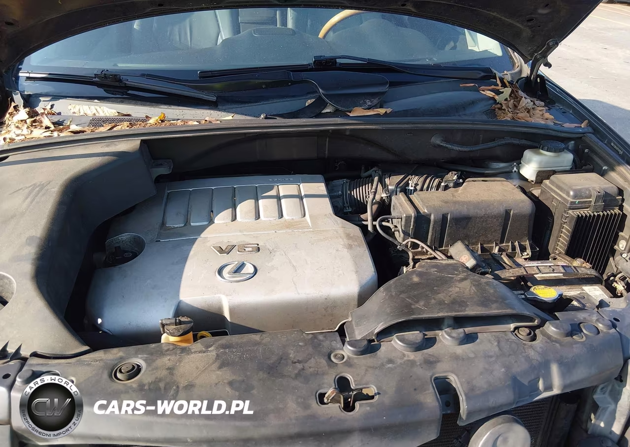 2007 Lexus Rx 350 VIN:2T2GK31U77C018258 - 10