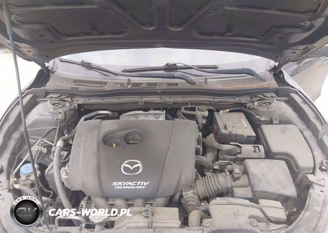 2016 Mazda Mazda3 I Sport VIN:JM1BM1U76G1283695 - 10
