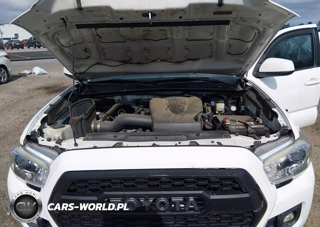 2017 Toyota Tacoma Sr5 V6 VIN:5TFAZ5CN1HX052044 - 10