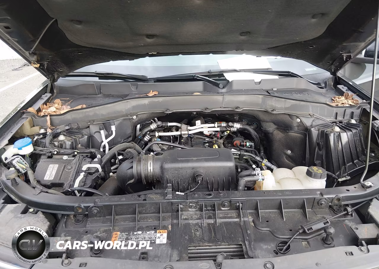 2023 Ford Explorer Timberline VIN:1FMSK8JH2PGA42415 - 10