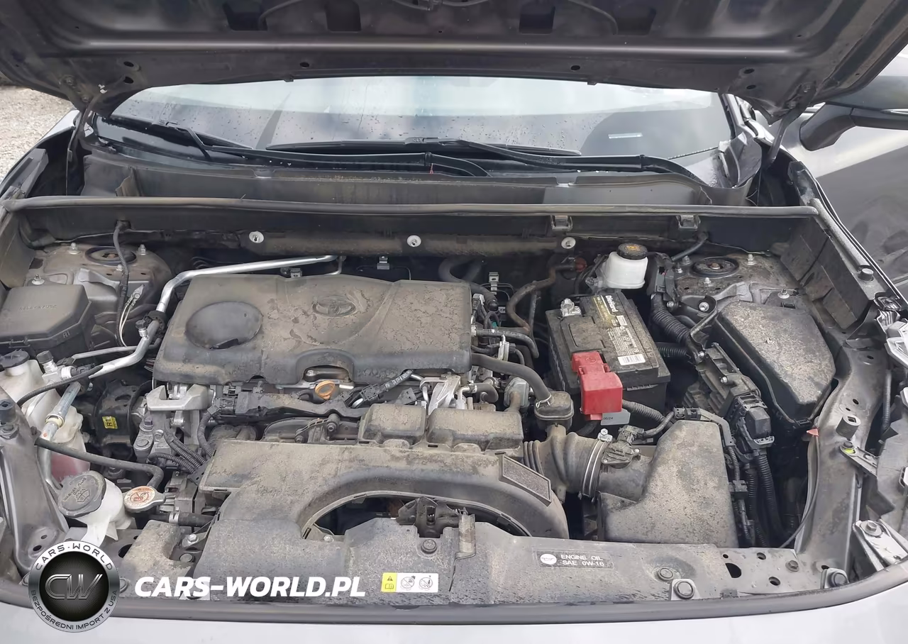 2019 Toyota Rav4 Xle VIN:2T3W1RFV0KC010817 - 10
