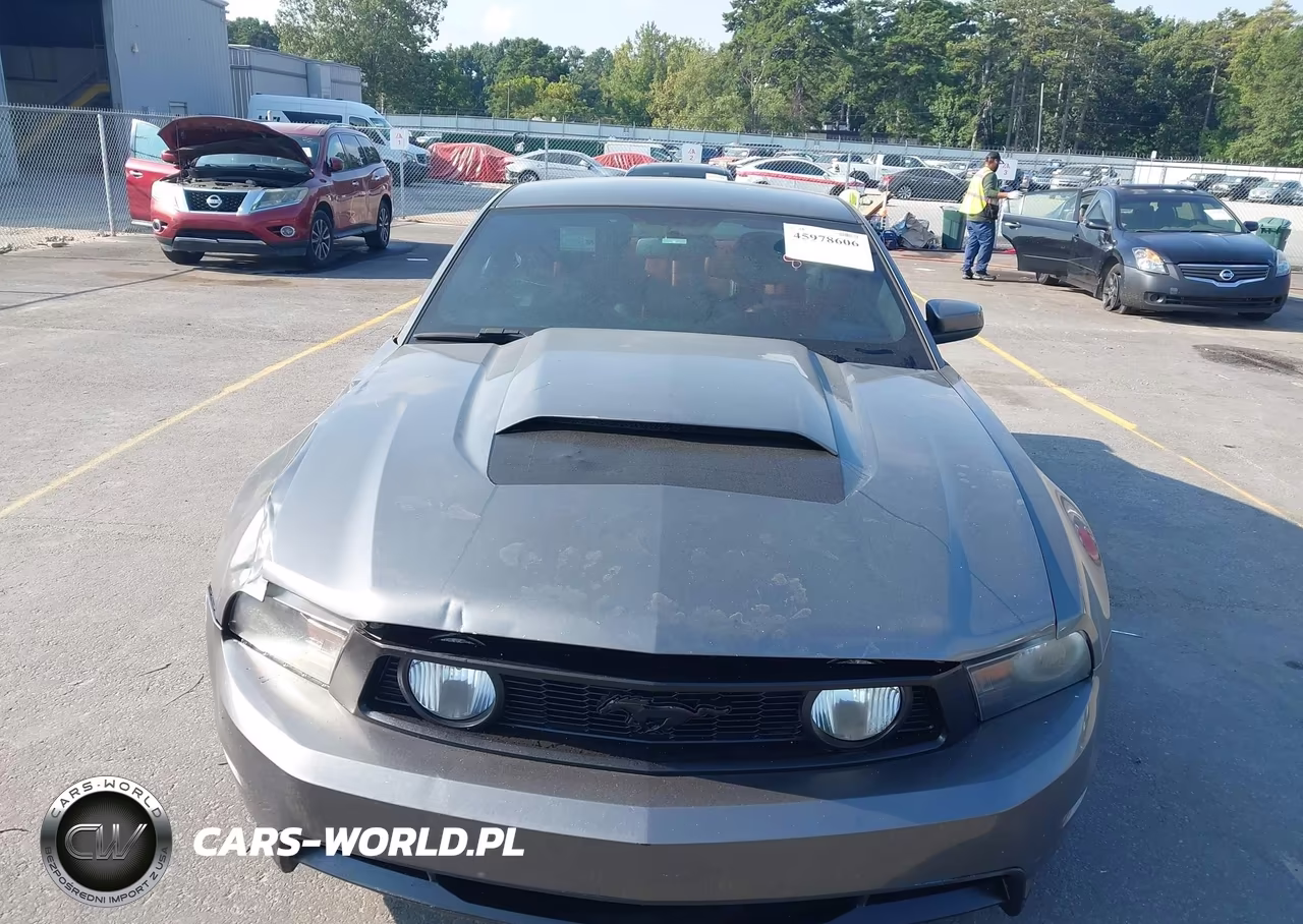 2010 Ford Mustang Gt-Gt Premium VIN:1ZVBP8CH7A5149589 - 12