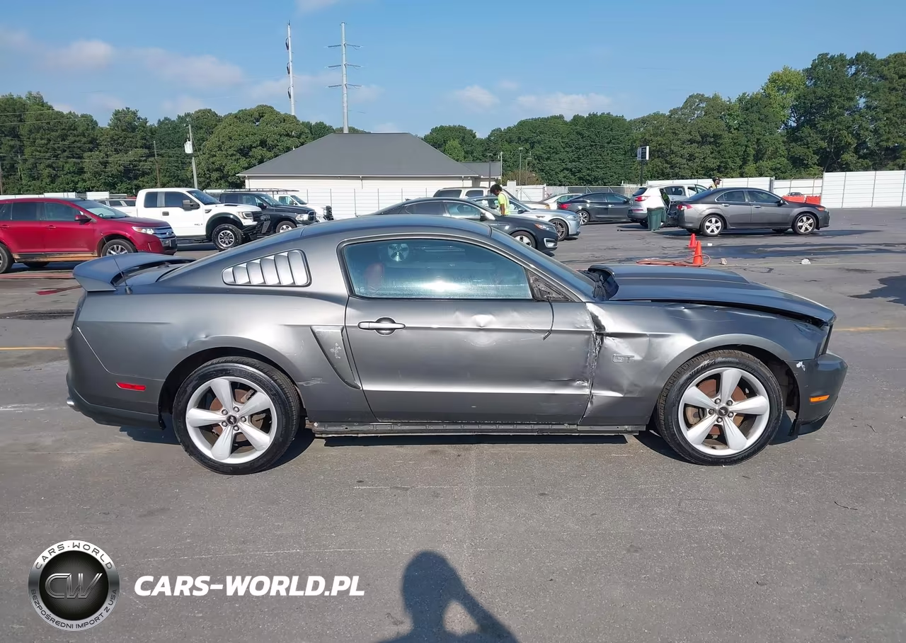 2010 Ford Mustang Gt-Gt Premium VIN:1ZVBP8CH7A5149589 - 13