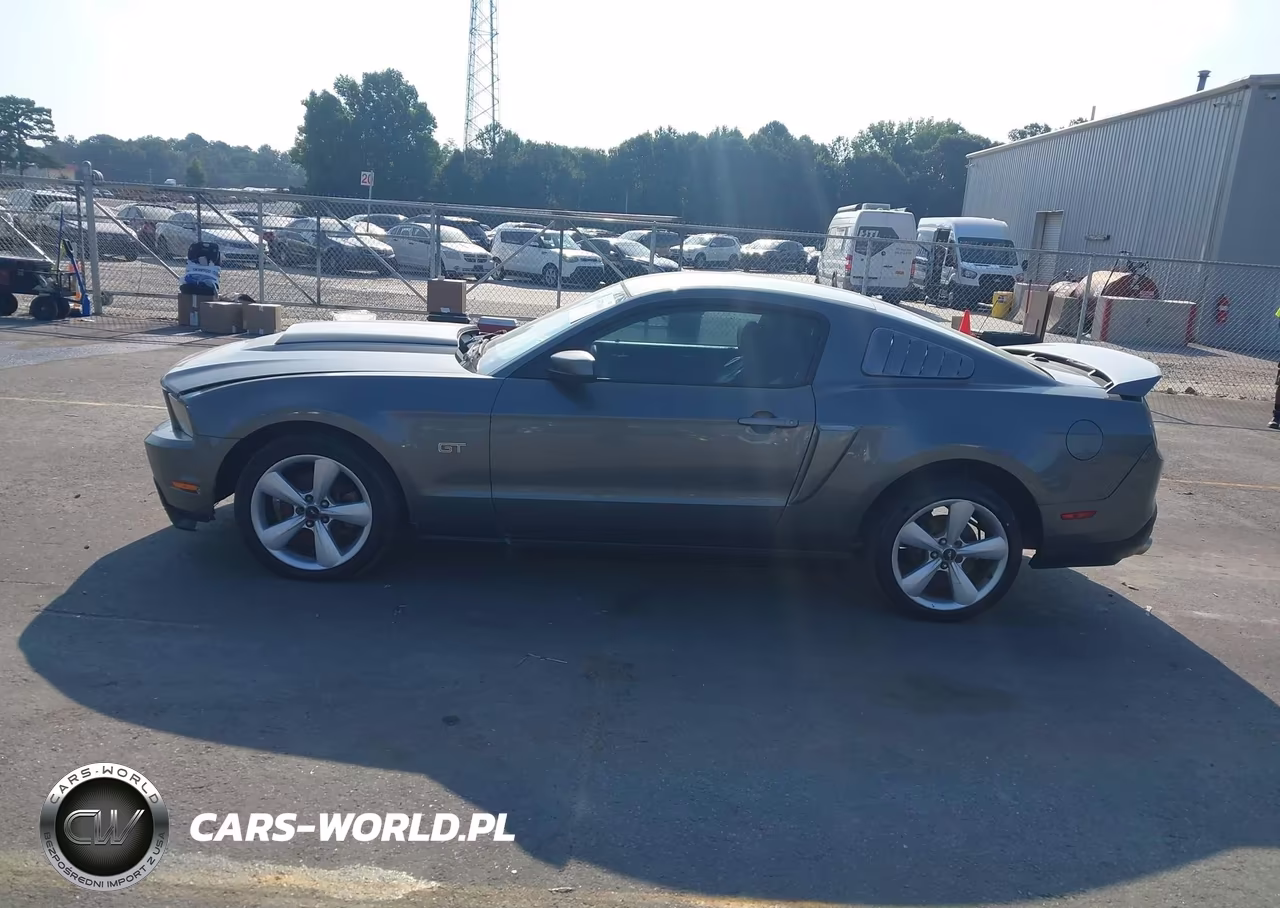 2010 Ford Mustang Gt-Gt Premium VIN:1ZVBP8CH7A5149589 - 14