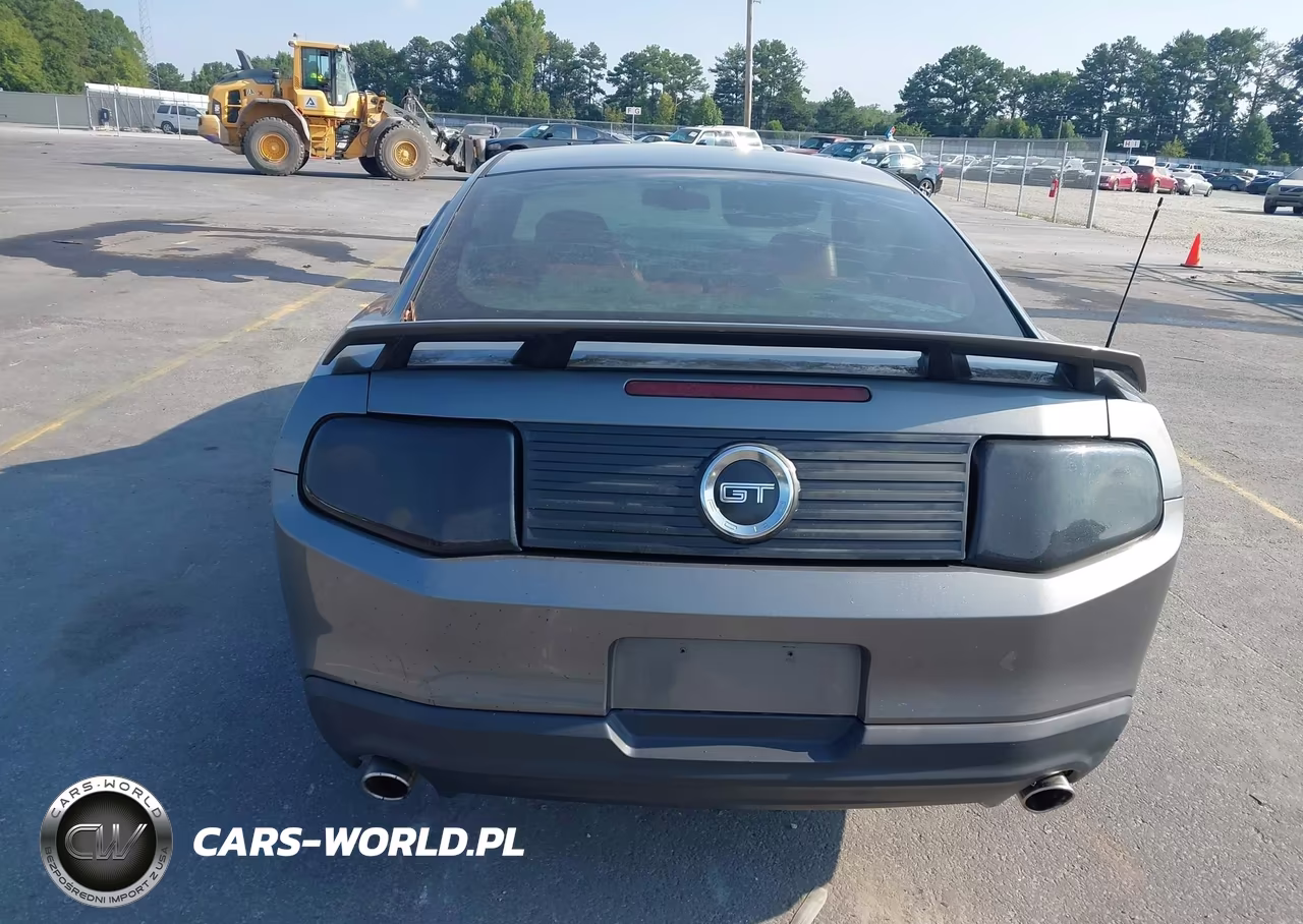 2010 Ford Mustang Gt-Gt Premium VIN:1ZVBP8CH7A5149589 - 16