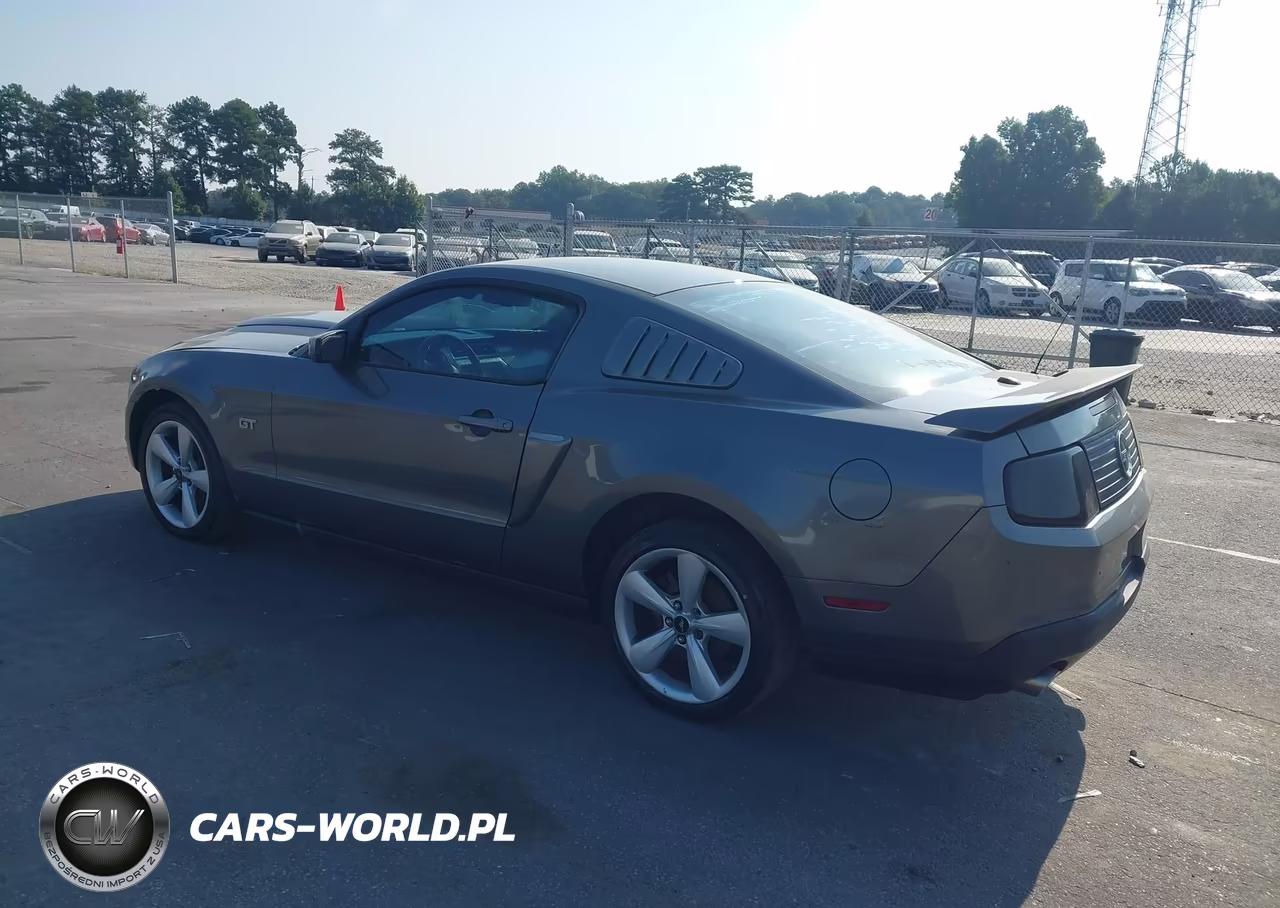 2010 Ford Mustang Gt-Gt Premium VIN:1ZVBP8CH7A5149589 - 3