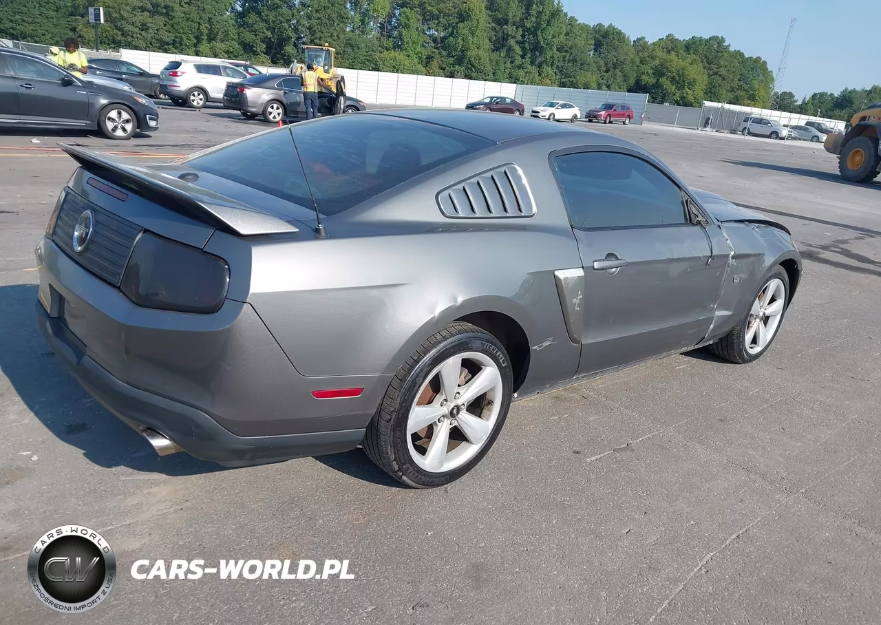 2010 Ford Mustang Gt-Gt Premium VIN:1ZVBP8CH7A5149589 - 4