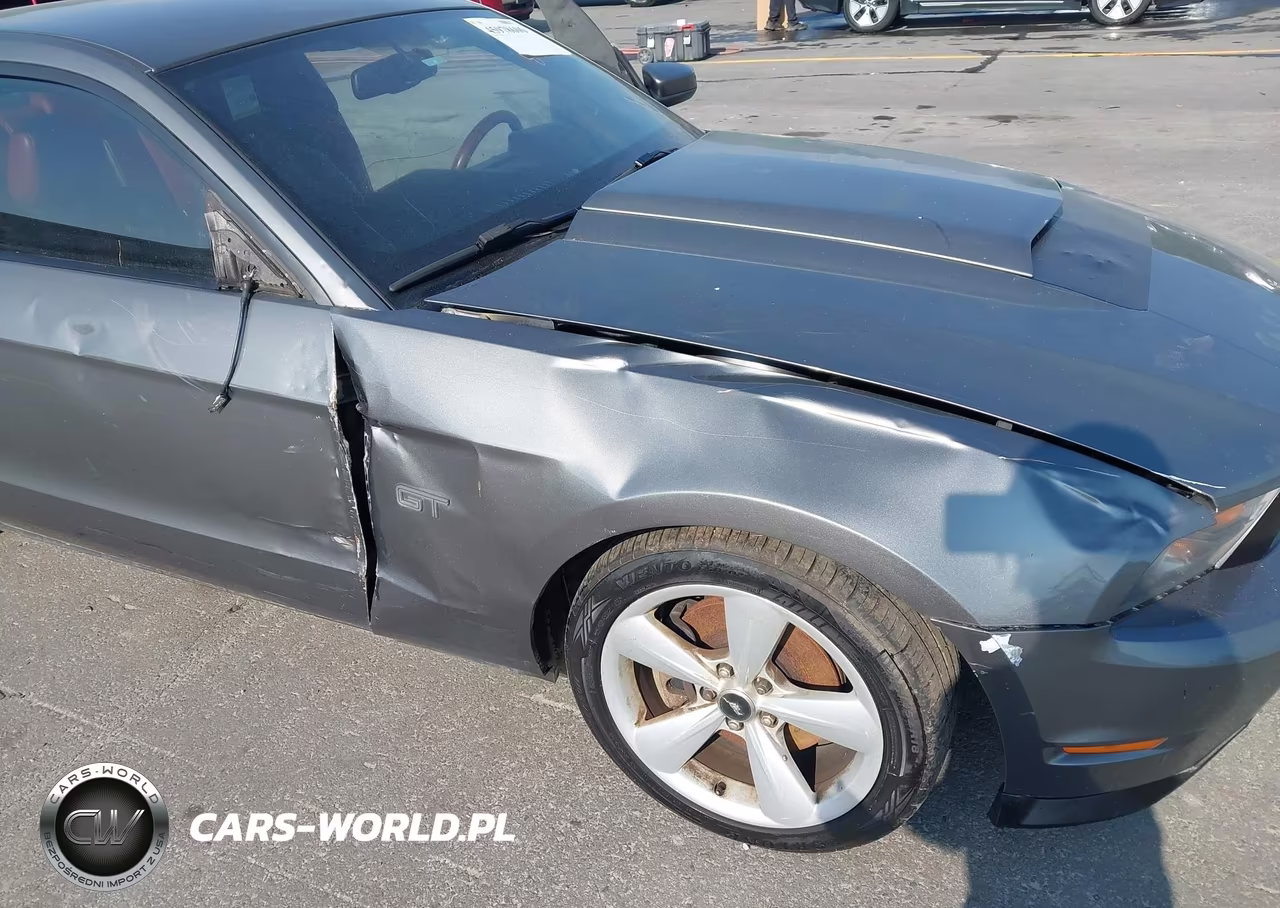 2010 Ford Mustang Gt-Gt Premium VIN:1ZVBP8CH7A5149589 - 6