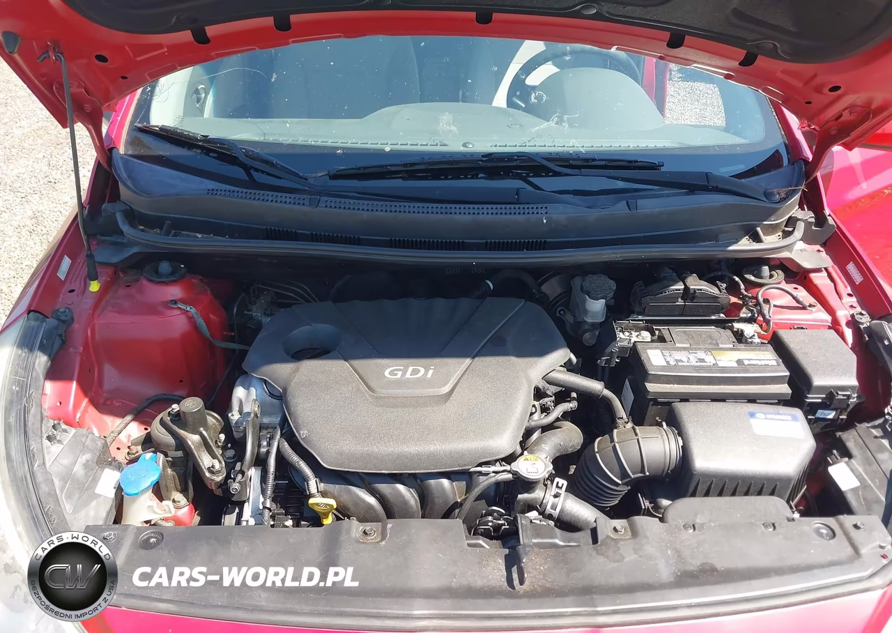 2016 Hyundai Accent Se VIN:KMHCT4AEXGU138861 - 10