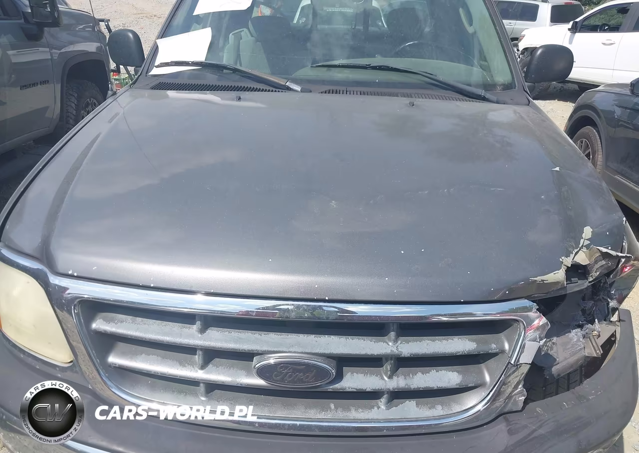 2004 Ford F-150 Heritage Xl-Xlt VIN:2FTRX17264CA13205 - 10