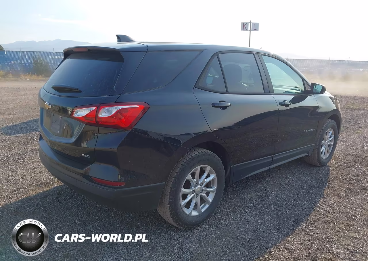 2020 Chevrolet Equinox Awd Ls VIN:2GNAXSEV1L6229516 - 4