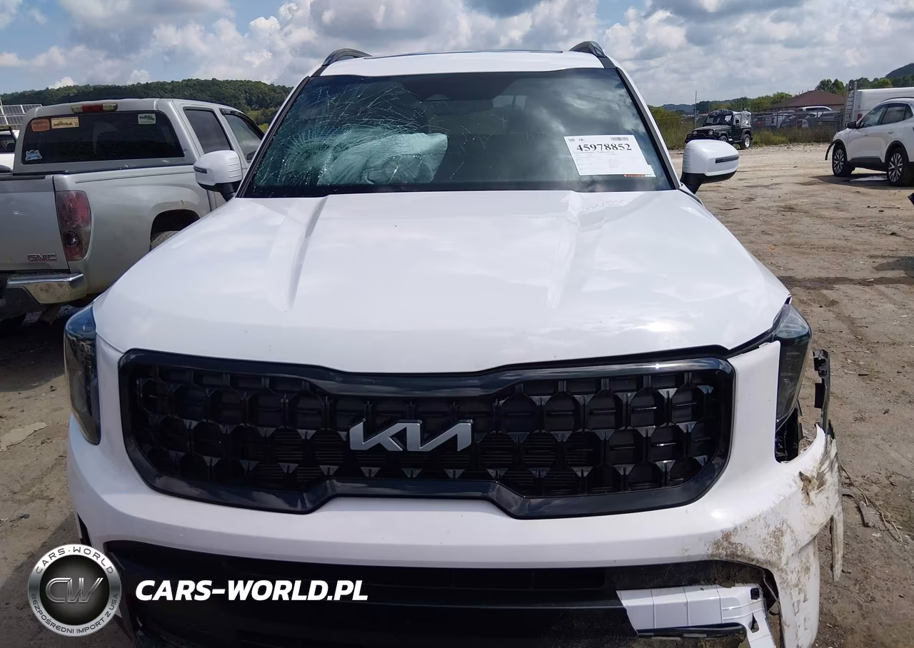 2024 Kia Telluride Ex X-Line VIN:5XYP3DGC4RG493377 - 12
