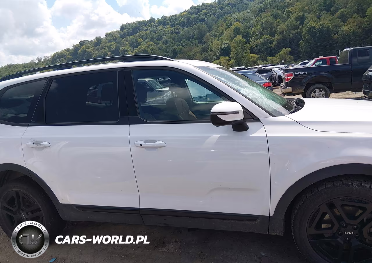 2024 Kia Telluride Ex X-Line VIN:5XYP3DGC4RG493377 - 13