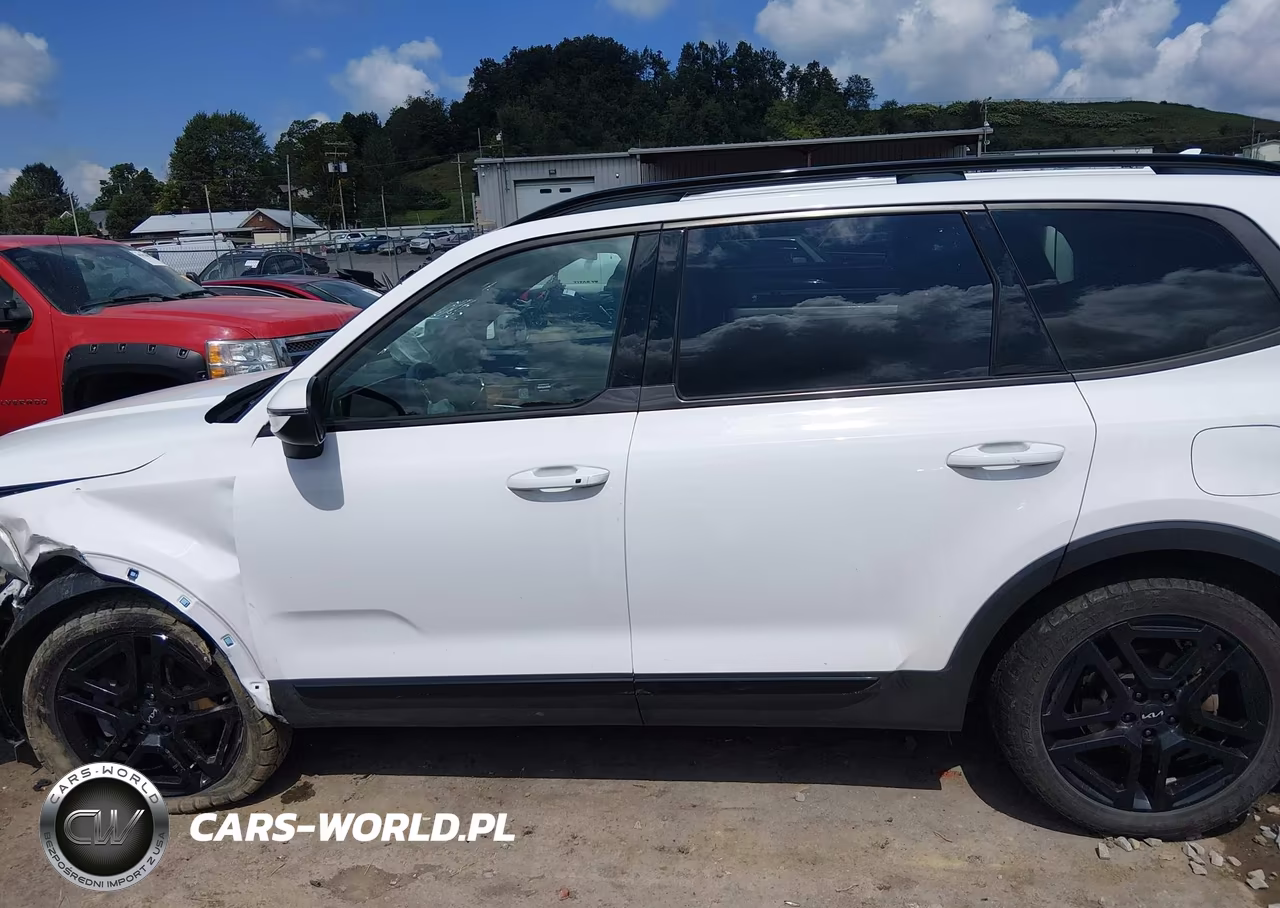 2024 Kia Telluride Ex X-Line VIN:5XYP3DGC4RG493377 - 14